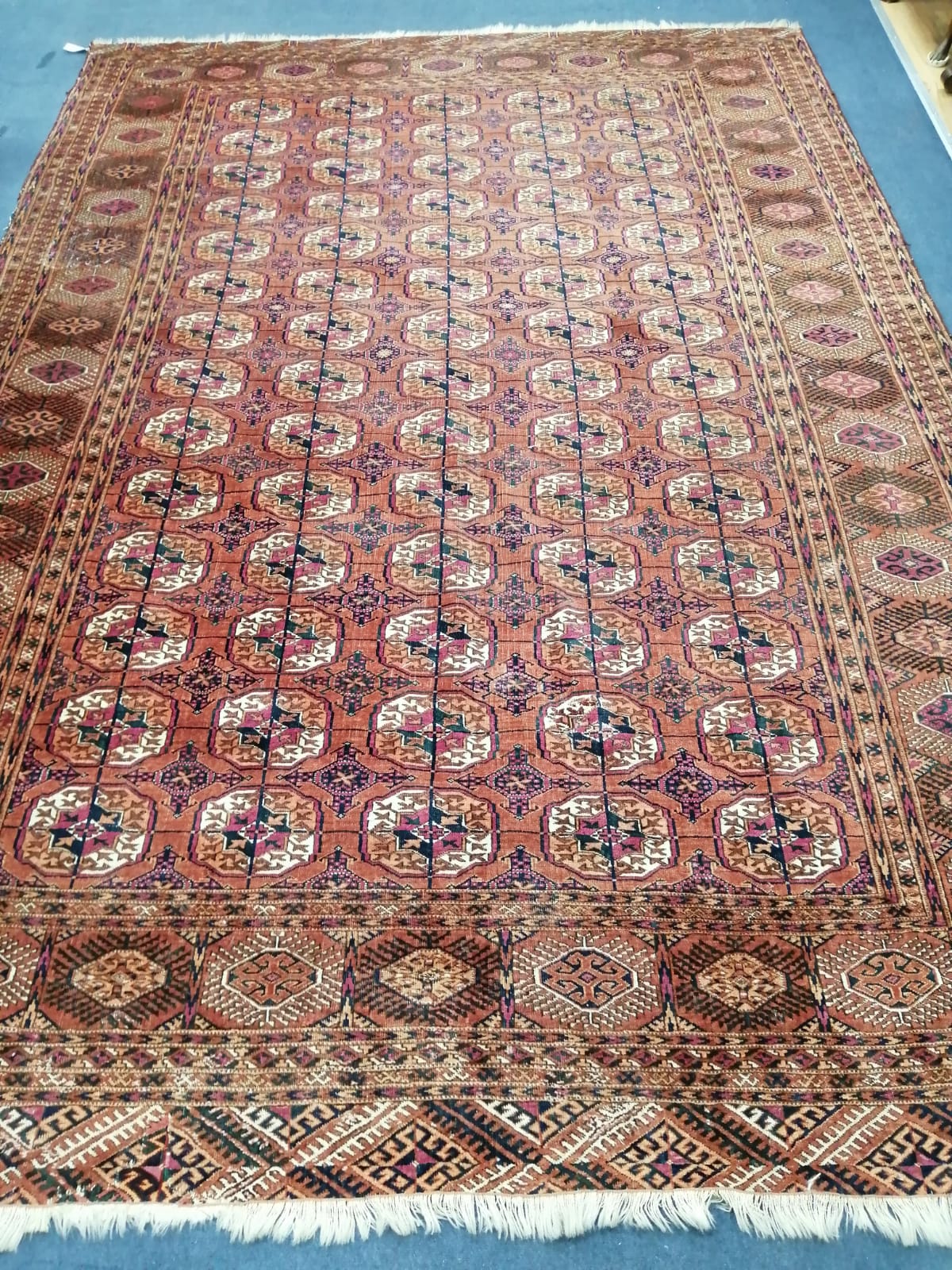 A Tekke Bokhara terracotta field multi medallion rug, 320×219 cm